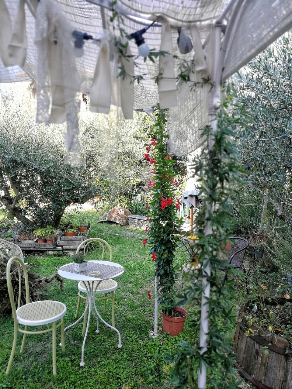 לינה וארוחת בוקר Roncofreddo Il Giardino Dei Frati מראה חיצוני תמונה